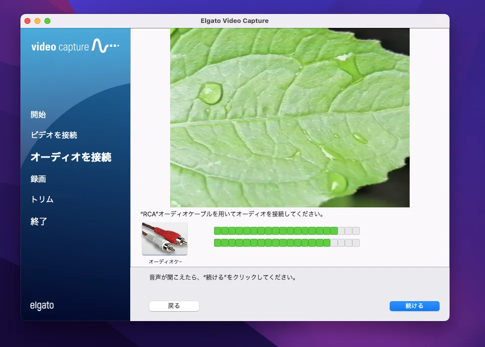 Elgato Video Captureでダビング録画する前の映像と音声の確認画面